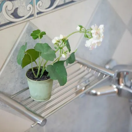 Διαμέρισμα Thalassa *