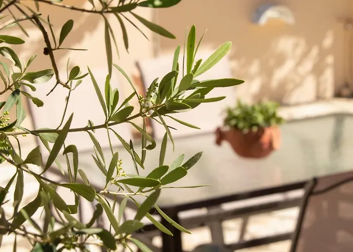 Thalassa Nydri (Lefkada)